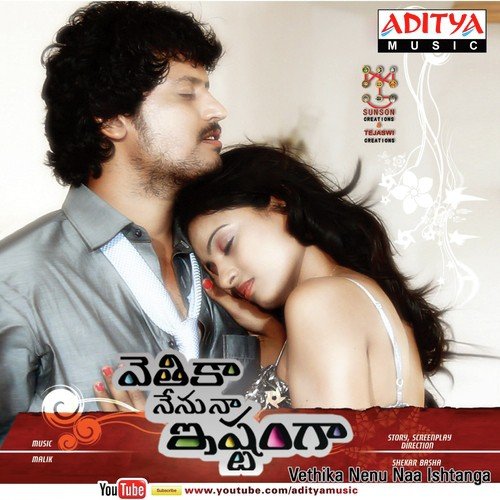 Vethika Nenu Naa Ishtanga Audio Songs